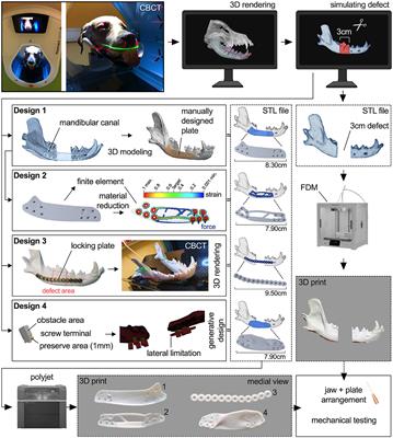 3D printed plates based on generative design biomechanically outperform manual digital fitting and conventional systems printed in photopolymers in bridging mandibular bone defects of critical size in dogs